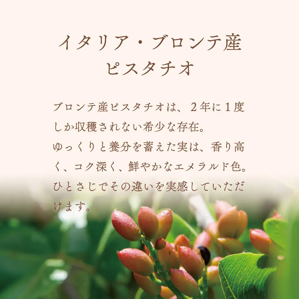 ジェラテリア TiG（ティグ）イタリアンジェラート 無着色・無香料 イタリアンピスタチオプレミアム 2000ml（2L）