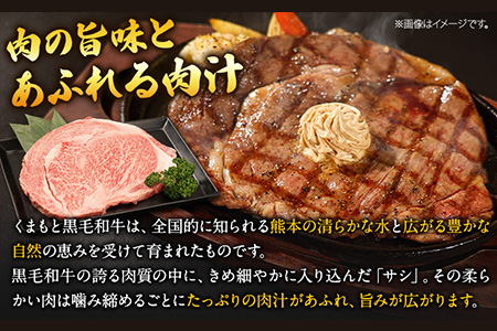 くまもと黒毛和牛 リブロースステーキ 500g ( 250g x 2枚 ) 牛肉 冷凍 《30日以内に出荷予定(土日祝除く)》 くまもと黒毛和牛 黒毛和牛 冷凍庫 個別 取分け 小分け 個包装 ステーキ肉 にも リブロースステーキ 美味しい牛肉 熊本牛肉 ジューシー牛肉 贅沢な牛肉 st-p