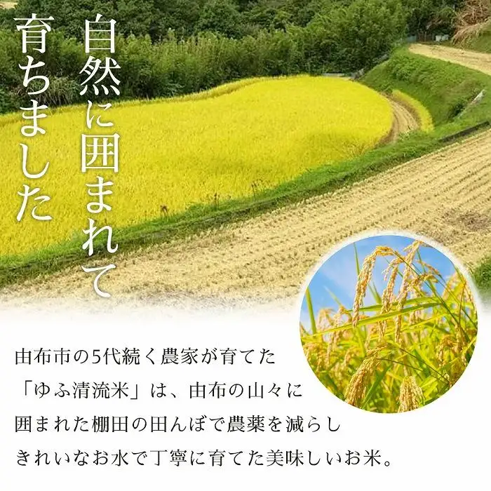 大分県産ひのひかり「ゆふ清流米」【白米】5kg