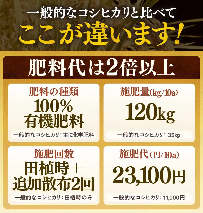 【先行予約】【令和8年産 新米】定期便《12ヶ月連続お届け》コシヒカリ 玄米 5kg （計60kg）特別栽培米 農薬不使用 化学肥料不使用 ／ 残留農薬ゼロ 高品質 鮮度抜群 福井県産 ブランド米 玄米 ※2026年10月上旬以降順次発送 [aw063-n004]