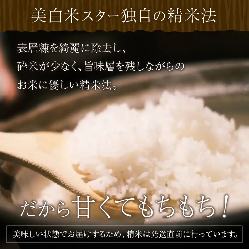 令和8年産 美白精米 丹後こしひかり 3kg(2合×10袋) 1等米