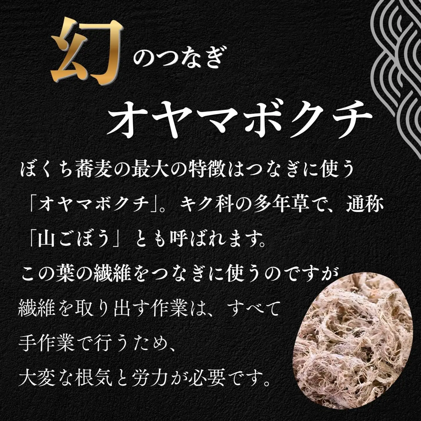 蕎麦 つゆ付き 4人前【信州蕎麦】Bf-001