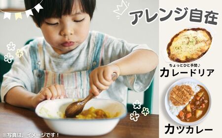 定期便 ３ヶ月 農家のたっぷり野菜カレー １０個 月１回 ／ふるさと納税 山口農園 有機野菜 オーガニック 伝統野菜 レトルト 詰め合わせ ギフト カレーセット スパイス 飯 キャンプお取り寄せ 奈良県 宇陀市 おかず ご当地 簡単 お歳暮 暑中見舞い 時短 保存食 