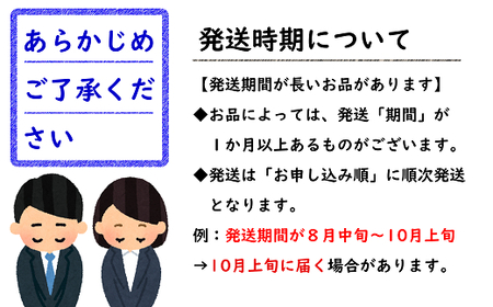 【令和8年産先行予約】 シャインマスカット ＆ 大粒ぶどう 計約1.8kg (2～4房 秀) 《令和8年9月下旬～11月中旬発送》 『フードシステムズ』 葡萄 ぶどう 山形県 南陽市 [1390]