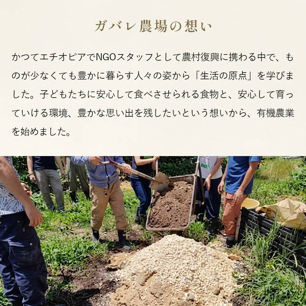 【アイガモ農法のお米＊定期便】ガバレ農場「彩のきずな」5kg×6ヶ月　玄米　精米歩合指定OK No.238