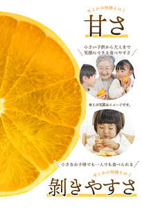 せとか 約3.5kg 訳あり せとか【njb682B】