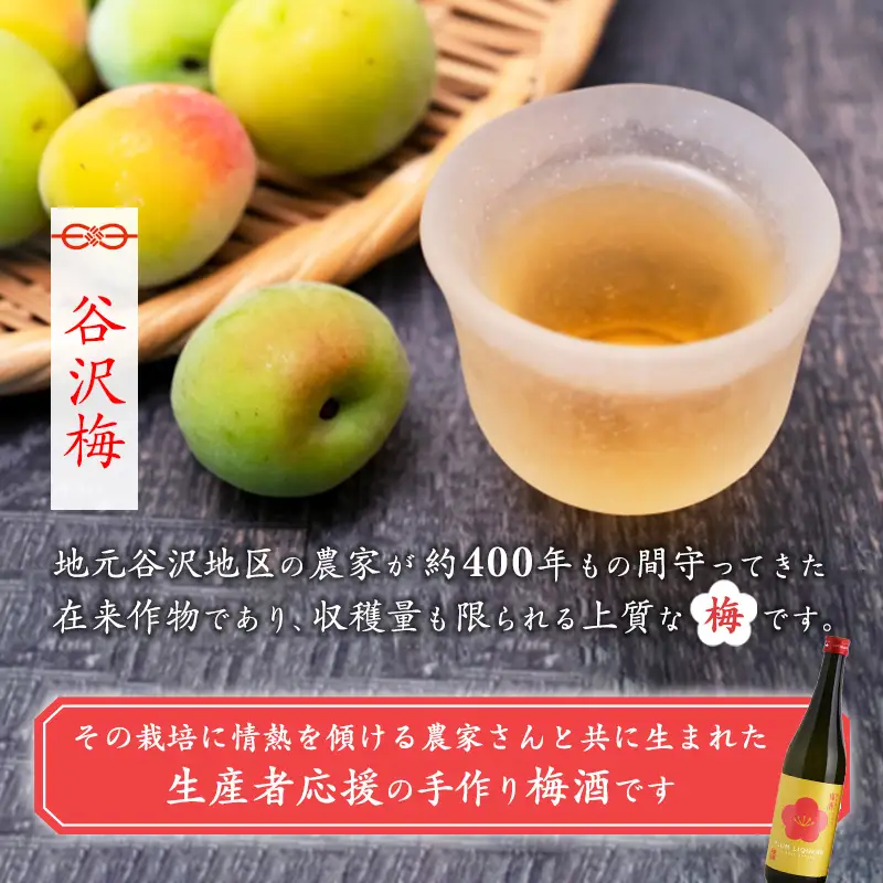 銀嶺月山 純米酒仕込みの梅酒（720ml×2本セット）【貴重な山形県産ブランド梅「谷沢梅」を使用】　020-E-GS017