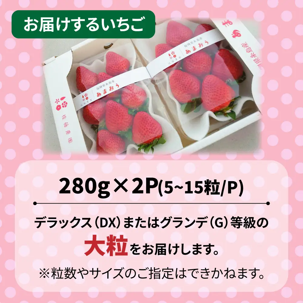 【農家直送！】【先行受付】糸島産 春 あまおう 280g × 2パック  (DXまたはGサイズ)  【2027年2月上旬以降順次発送】糸島市 / 後藤農園 [AML004] いちご 福岡