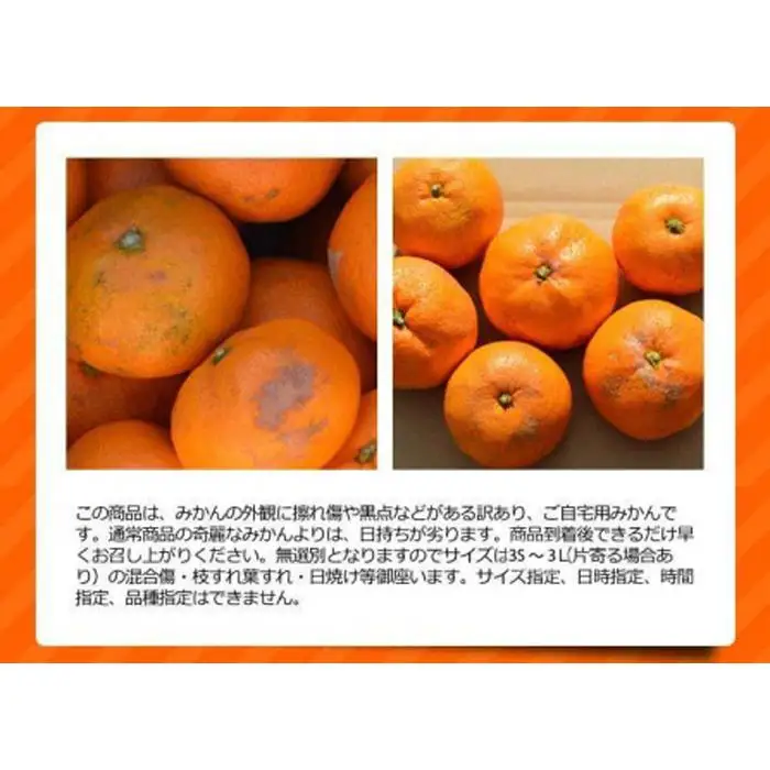 ［先行予約］訳ありみかん 約5kg（箱込み）和歌山県産