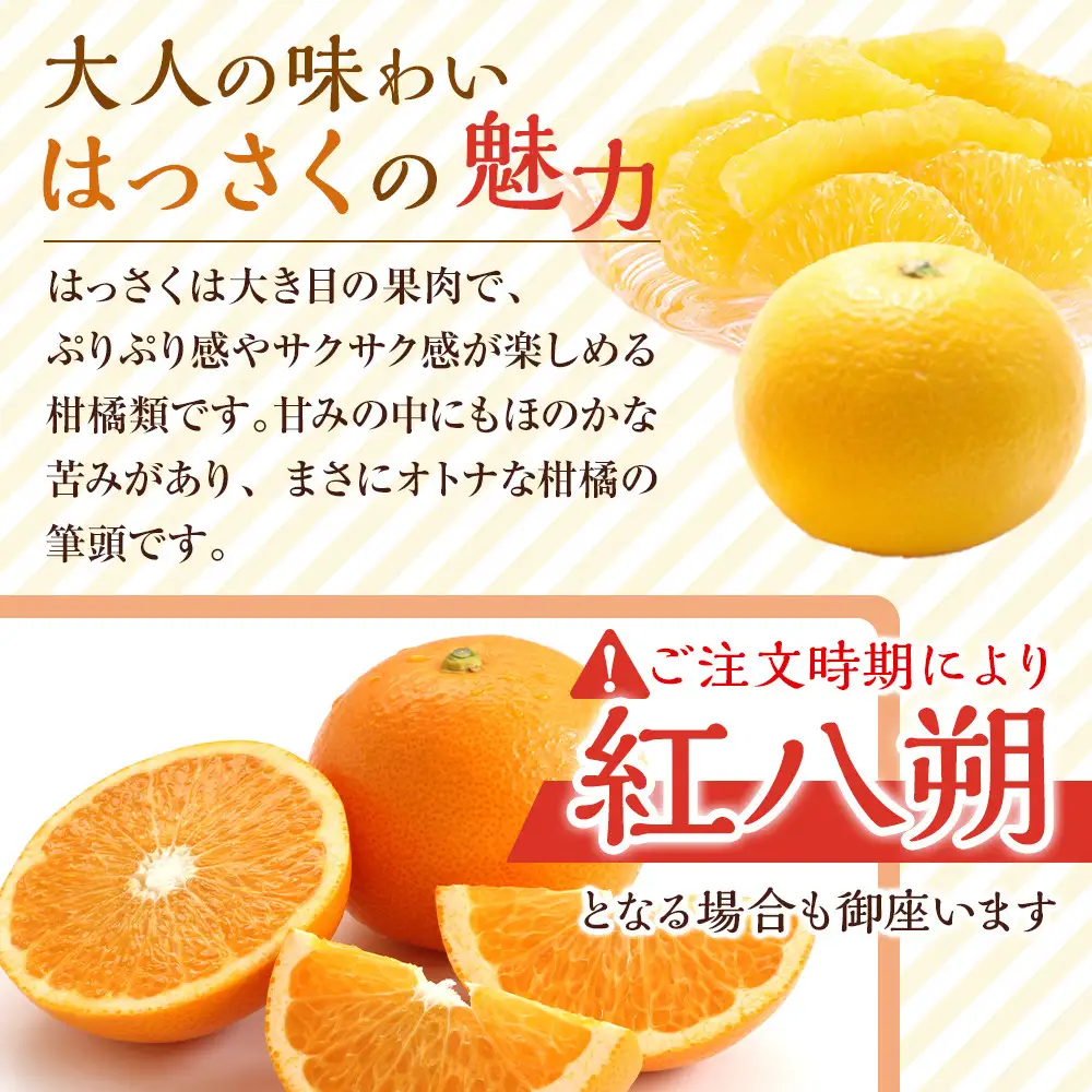 訳あり八朔  約10kg（箱込み）和歌山県産