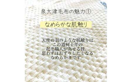 【アイボリー×ベージュ】【名入れ可】ハートの形が機能的！ありそうでなかったベビーブランケット ハートブランケット (泉大津毛布) [3163]