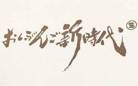 071-934 おくぶんご 新時代 惣菜 まんじゅう 詰め合わせ 計10個（5種×2個） セット