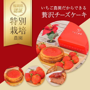 あまおうチーズケーキ 約380g×1_あまおうチーズケーキ 約 380g ケーキ ニュージーランド産 クリームチーズ 濃厚 チーズケーキ 半解凍 冷蔵解凍 レンジ 特別栽培 あまおう農家 久留米市産 いちご あまおう 福岡県 久留米市 お取り寄せ スイーツ デザート お菓子 洋菓子 冷凍 送料無料 〔Dw039〕