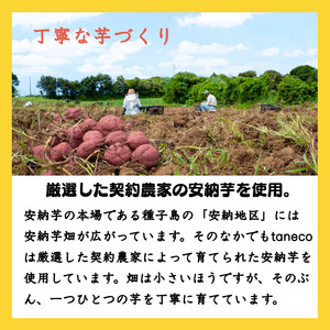 種子島 安納いも 焼き 干し芋 『 taneco 』３箱セット　NFN478 【400pt】