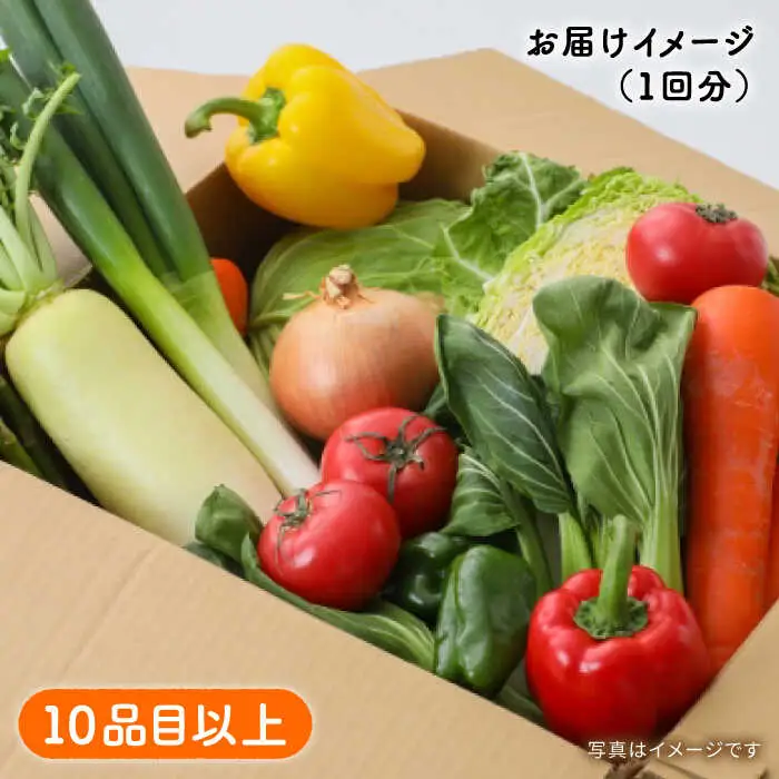 【3回定期便】地元農家さんが収穫した旬のお野菜 10種詰め合わせ / 野菜 旬 新鮮 採れたて 季節野菜 旬野菜 農家直送 野菜定期便 定期便 / 南島原市 / ミナサポ [SCW045]