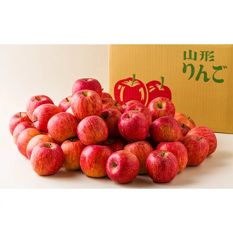 《2026年度発送》【ご家庭用】山形県産のサンふじりんご10kg（玉数おまかせ） りんご リンゴ 林檎 デザート フルーツ 果物 くだもの 果実 食品 山形県 FSY-2969