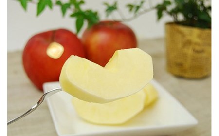 《先行予約 2026年度発送》【山形県産】サンふじりんご秀品10kg りんご リンゴ 林檎 デザート フルーツ 果物 くだもの 果実 食品 山形県 FSY-2974
