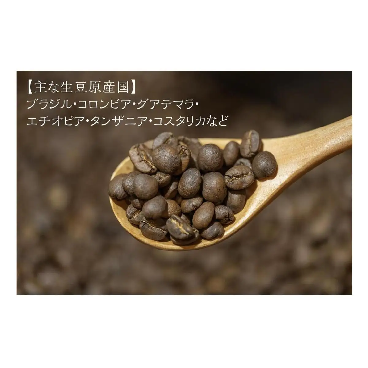 コーヒー豆 自家焙煎 2種飲み比べ レギュラー コーヒー豆【計600g(各100g×3袋)】