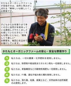 かたもとオーガニックファームの農業研修生が育てたお野菜セット 野菜