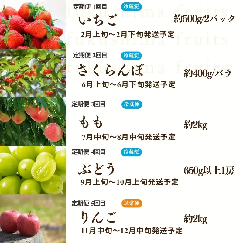 福島のフルーツ5品 定期便【2027年発送 先行予約】No.2275