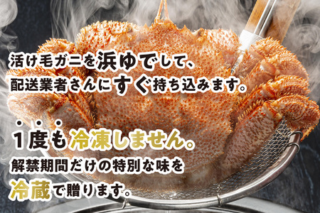 ＜ 2027年2月上旬より発送開始 ＞ 毛ガニ 定期便  全3回 北海道産 浜ゆで 毎月 2尾 計6尾 かに 蟹 ＜ 予約受付 ＞
