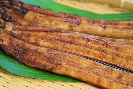【活うなぎ・一色産】蒲焼き×白焼き 食べ比べセット（各１尾×150g）36-26