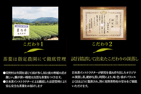 訳あり品 八女星野茶 深蒸し茶1100g 株式会社親和園《30日以内に出荷予定(土日祝除く)》福岡県 鞍手郡 鞍手町 お茶 緑茶 茶 八女星野茶 訳あり 送料無料