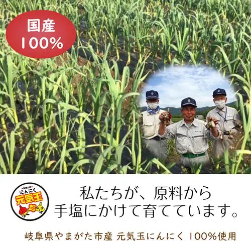 にんにくチップ　国産　無添加　150g [No.659]