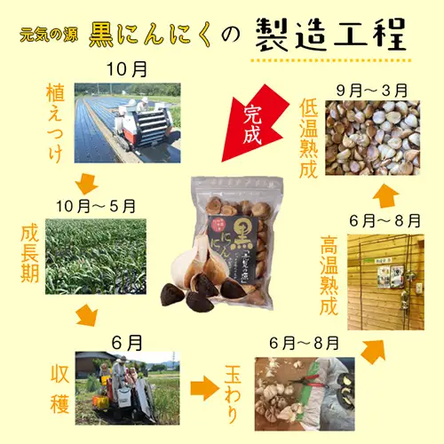 元気の源　黒にんにく　240g [No.672]