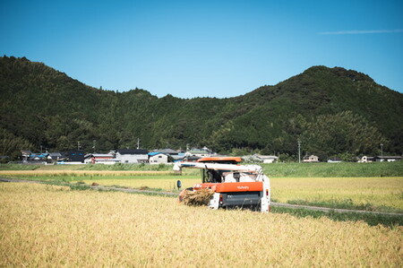 【令和6年産】【自然環境米】鬼北のせせらぎ2kg×6袋セット（鬼北産コシヒカリ） ｜ お米 お米不足 お米品薄 おいしい お米 事業者支援 送料無料 白米 精米 国産 限定 ごはん ご飯 白飯 ゴハン 愛媛県産 鬼北町