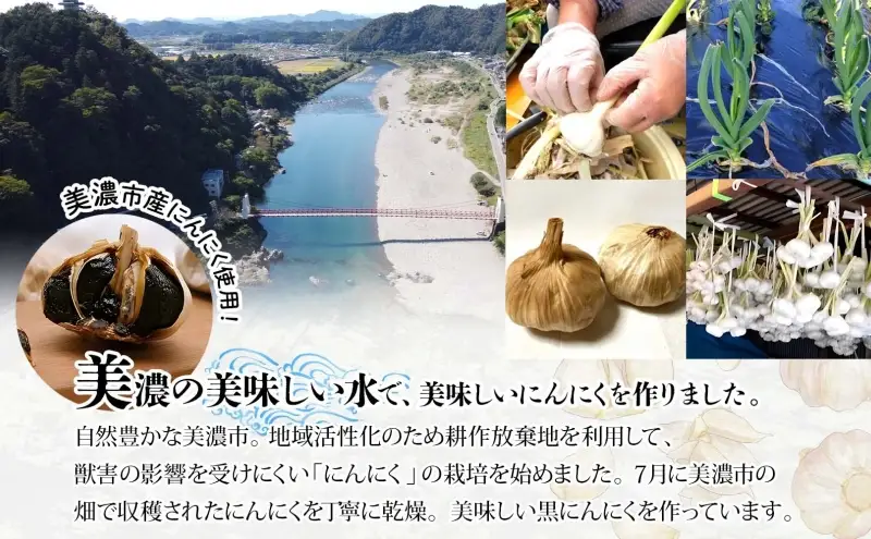 うだつの町 美濃の黒にんにく にんにく ニンニク 加工食品 熟成 甘い フルーティー まろやか うまみ 乾燥 凝縮 国産 送料無料 岐阜県 美濃市