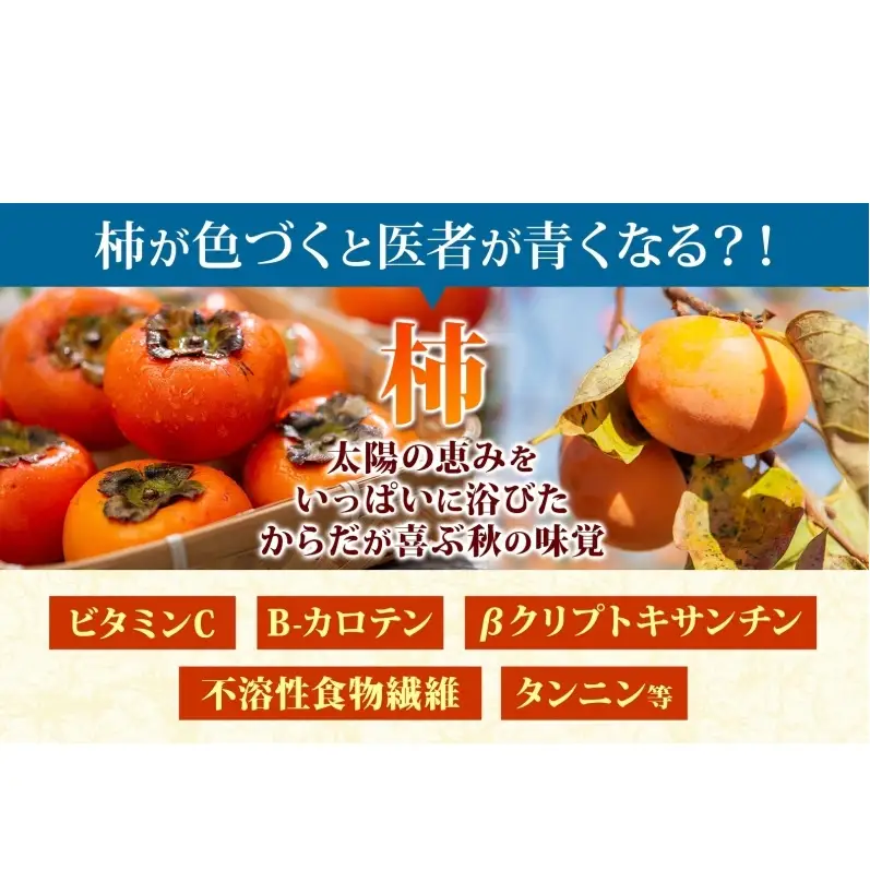 富有柿 12個 柿 かき 大玉 完熟 フルーツ くだもの 果物 秋 旬 味覚 追熟 甘い おやつ デザート 贈り物 ギフト 産地直送 にわか茶屋 送料無料 岐阜県 美濃市 ≪お届け時期：2026/10/20～2026/11/30≫