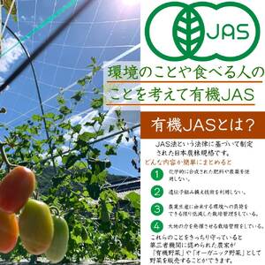 有機JAS認定 野菜・卵お楽しみセット 野菜 