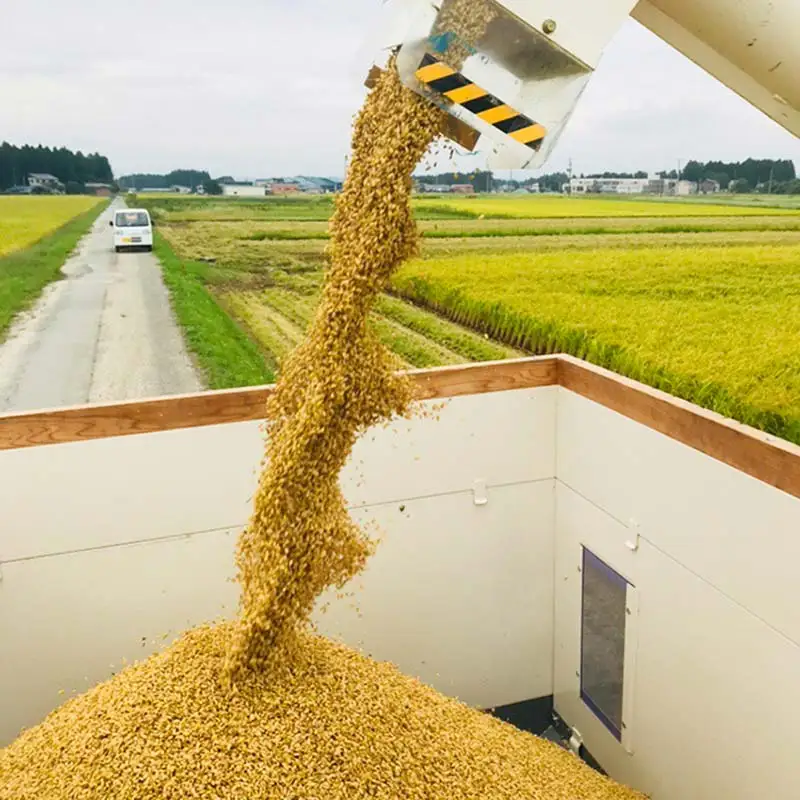 【令和8年産米先行予約】極みの ササニシキ 精米 5kg 新米  F3S-2852