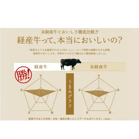 【最大４ヶ月待ち】但馬牛経産「牛すじ肉」１kg 008AA02N.／牛筋 牛肉 肉 お肉 精肉 すじ肉 スジ 国産牛 黒毛和牛 和牛 国産  冷凍 おつまみ つまみ 料理 アレンジ カレー おでん 牛すじ煮込み 煮込み料理 牛すじカレー グルメ おすすめ 人気 