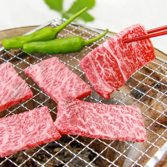 奥出雲和牛赤身焼肉用300g 【しまね和牛 黒毛和牛 ギフト 贈答用 冷蔵 チルド 日時指定Ａ-9】