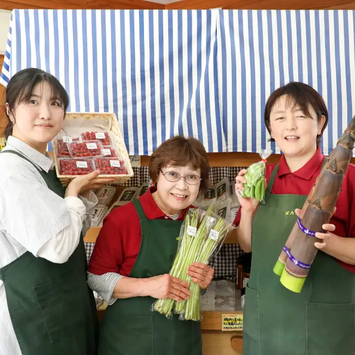 【3ヵ月定期便】高原の町「飯南町」旬のお野菜セット【 新鮮野菜 高原野菜 旬 特産品 お取り寄せ 少量多品種 少量多品目 3回 定期便 コース おまかせ】C-121