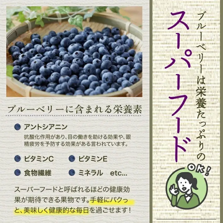 SA3081　訳あり 冷凍ブルーベリー　計2kg(500g×4パック)