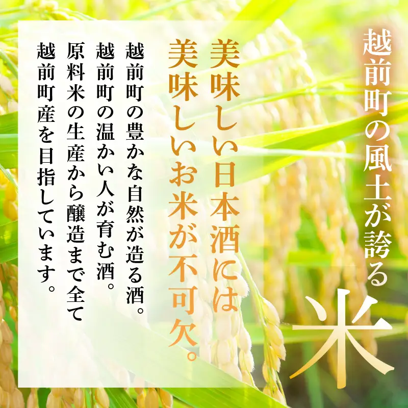 福井の地酒「飛鳥井」純米酒 1.8L 五百万石 精米歩合65％【日本酒】 [e19-a015]