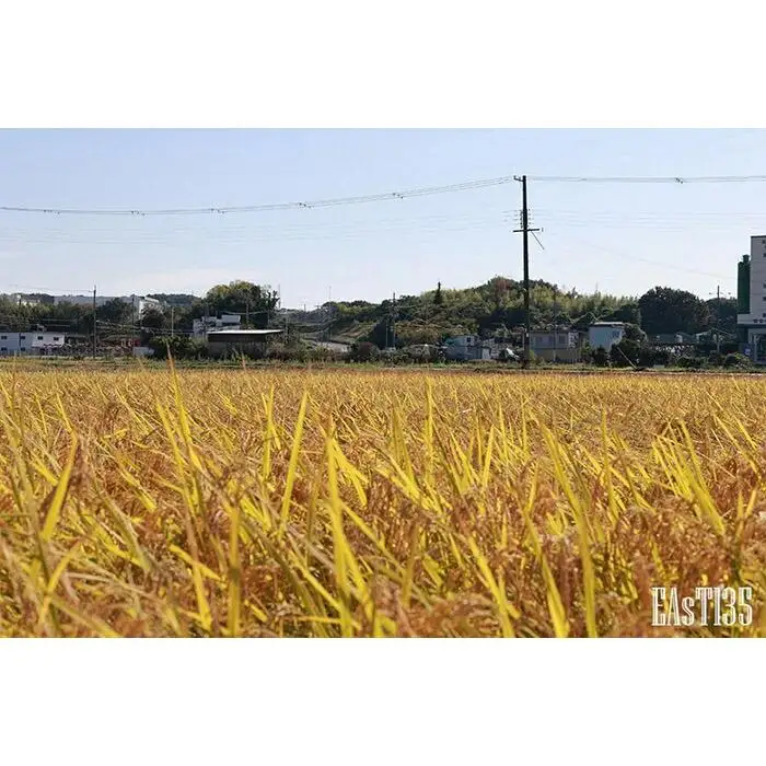 神戸で有機栽培した冷めても美味しいお米「みどり豊」2kg
