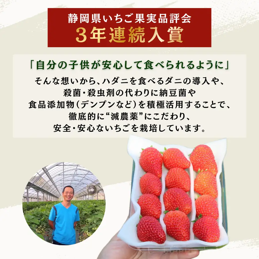 いちご【2027年発送】厳選 2パック×280g 完熟いちご