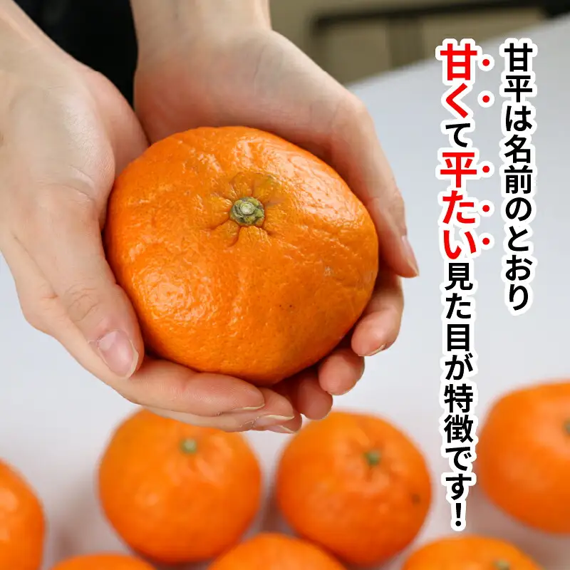愛媛みかん 訳あり 甘平 5kg 高級 愛媛 限定 ブランド 品種 マル南フルーツ 先行予約 訳あり品 わけあり かんぺい 希少 甘い シャキシャキ 愛媛ミカン 愛媛蜜柑 蜜柑 訳ありみかん みかん mikan 果物 くだもの フルーツ 柑橘 国産 愛媛 宇和島 B012-106021