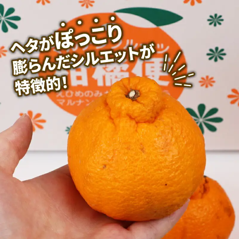 訳あり 不知火 デコポン ( デコポン と同品種) 5kg マル南フルーツ B010-106022