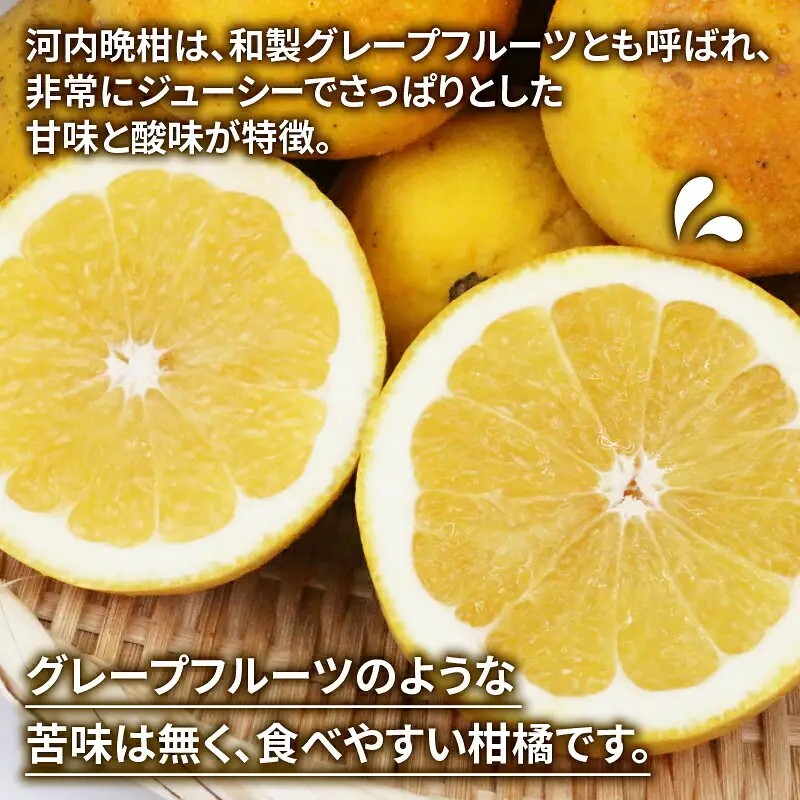 訳あり 河内晩柑 10kg フルーツ マル南フルーツ B010-106025