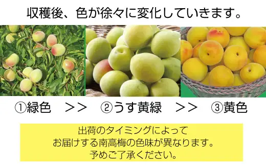 【梅干・梅酒用】（3Lまたは2L－2Kg）熟南高梅 秀優混合 / フルーツ 果物 くだもの 食品 人気 おすすめ 送料無料 ※2027年6月上旬～7月上旬頃順次発送予定 ※沖縄・離島への配送不可 【art008B】