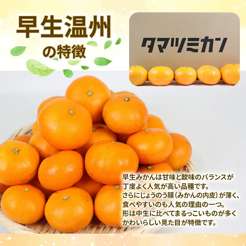 【ご家庭用】早生温州9kg玉津柑橘倶楽部みかん|B010-072001