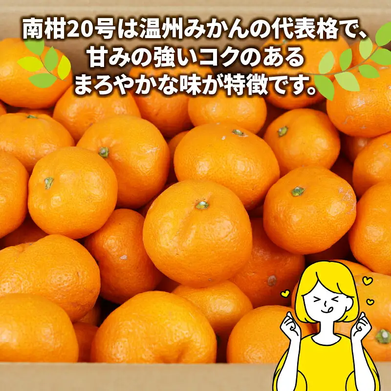 南柑20号 みかん 9kg 家庭用 玉津柑橘倶楽部 温州みかん 【 みかん 愛媛 】 B010-072002