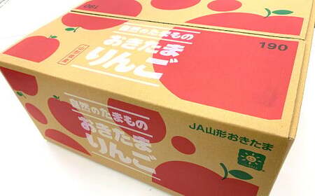 【令和8年産先行予約】 JA りんご 「サンふじ」 約2kg (5～8玉 秀) 《令和8年11月中旬～12月中旬発送》 『JA山形おきたま』 林檎 リンゴ 果物 フルーツ 山形県 南陽市 [1160-R8]