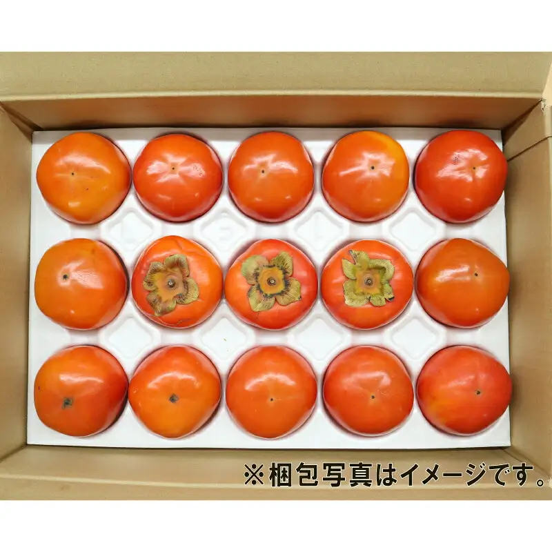 【2026年収穫分】 訳あり 柿 次郎柿 5kg 末光農園 F012-118001