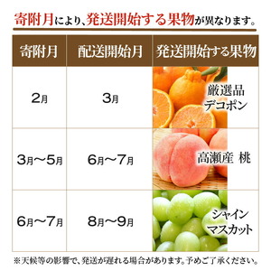 産地厳選三豊のフルーツ7回定期便 B